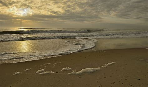 Assateague Island National Seashore Va — Jim Clark Photography