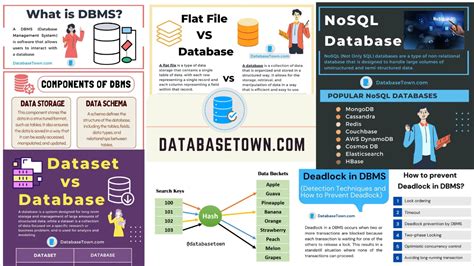 DatabaseTown (databasetown) - Profile | Pinterest 