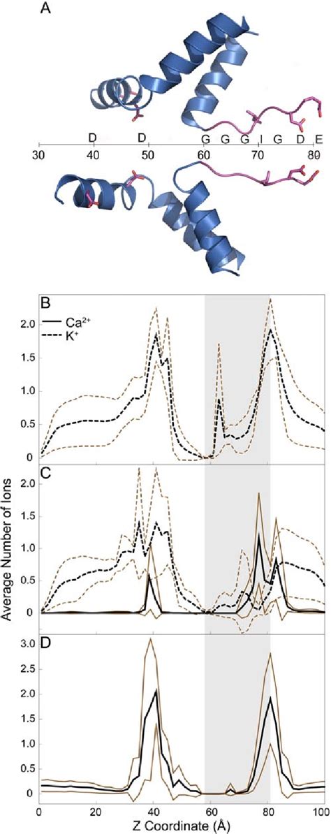 Figure 1 From A Structural Model Of The Pore Forming Region Of The