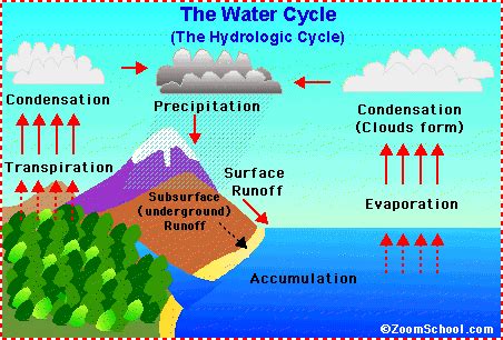 Janacek's News: Stages of the Water Cycle