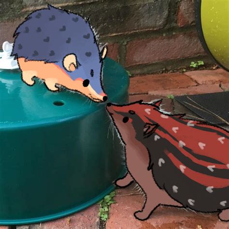 E On Twitter Y All Apparently Liked The Last Doodles So More Gay Hedgehogs Doodles