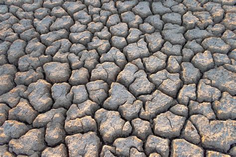 Fondo De Tierra Seca Con Grietas Causadas Por La Sequ A Y La Falta De