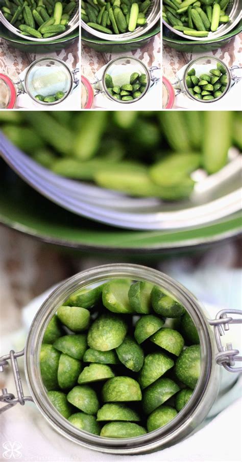 Pickles De Pepino Feito Em Casa Cozinha Da Matilde Pickles