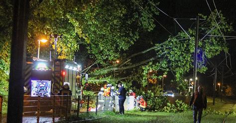 Sturm in Karlsruhe Baum stürzt in der Waldstadt auf Oberleitung