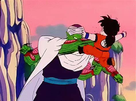 DBZ4LIFE — Piccolo and Kid Gohan Training