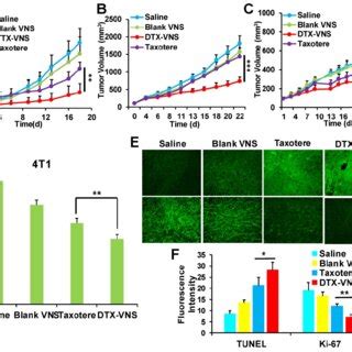 In Vitro Anticancer Activity Imaging A And Quantitative Analysis B