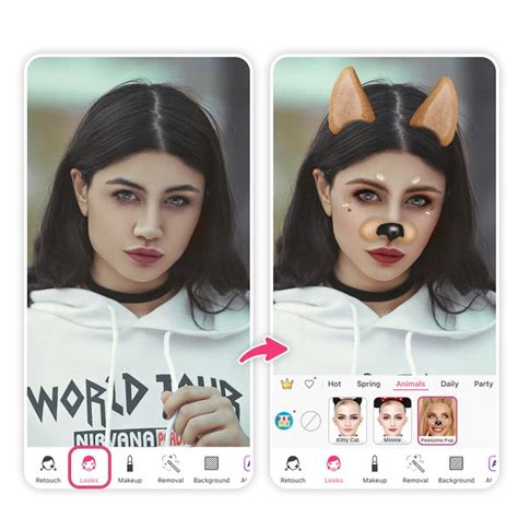 Cute Animal Face Filters to Try with a Free Animal Face App | PERFECT