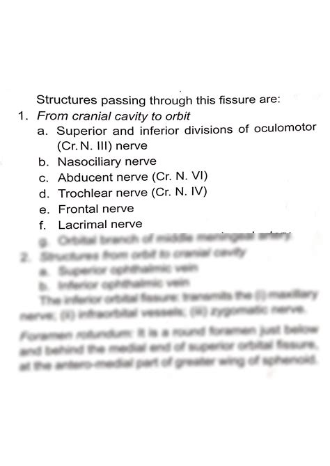 SOLUTION: Optic canal individual skull bone osteology anatomy - Studypool