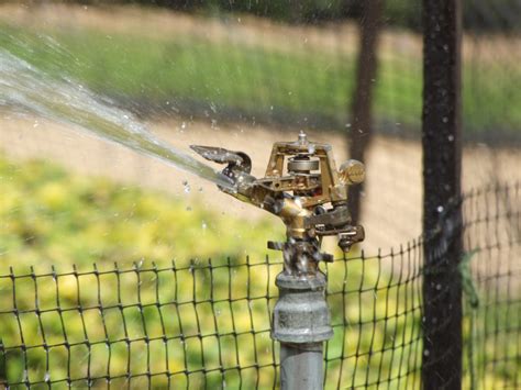 Irrigação por Aspersão Saiba tudo sobre o principal método de irrigação