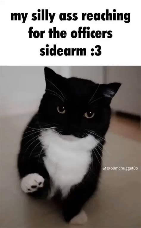 My Silly Ass Reaching For The Officers Sidearm 3 IFunny