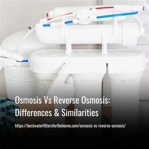 Forward Osmosis Vs Reverse Osmosis