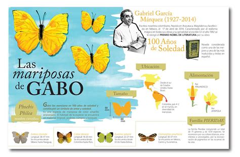 INFOGRAPHY INFOGRAPHY Las Mariposas De Gabo Teaching Spanish Gabriel