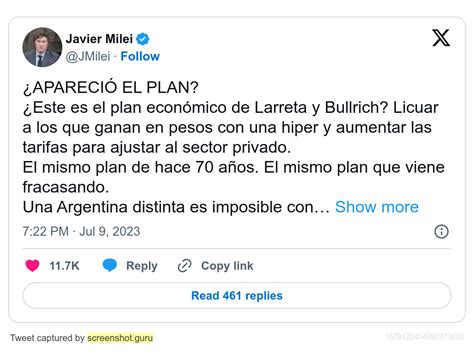 Javier Milei Presidente De La Nacion Argentina Parte 4 Política Y Sociedad Turiver