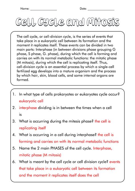 The Cell Cycle And Mitosis Worksheet