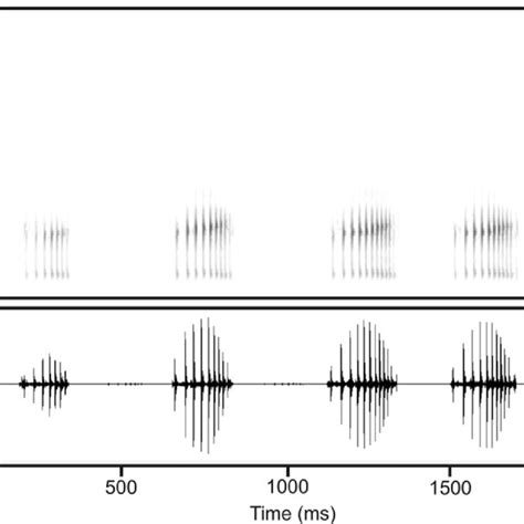 Audiospectrogram Above And Oscillogram Below Of An Advertisement