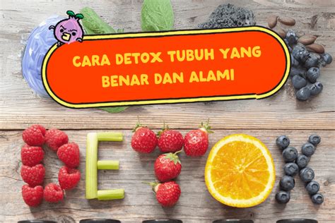 Cara Detox Tubuh Yang Benar Dan Alami Beorganik Official Store