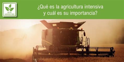 ¿qué Es La Agricultura Intensiva Y Cuál Es Su Importancia