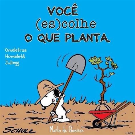 Você es colhe o que planta Simplesmente Sereníssima