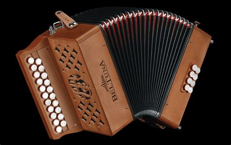 Mcneelas Top 5 Best Button Accordions For Traditional Irish Music