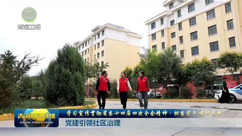 学习宣传贯彻省委十四届四次全会精神 青海新闻网