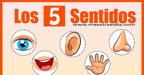 Los 5 Sentidos