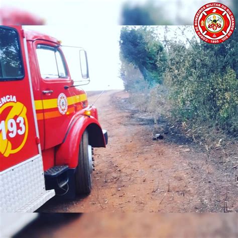 Fogo mata animais queima 41 hectares e maquinários em Santa Rosa