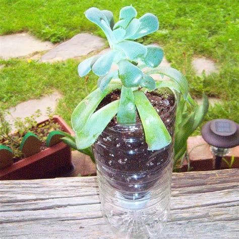 How To Make Beautiful Planters From Plastic Bottles Live Enhanced