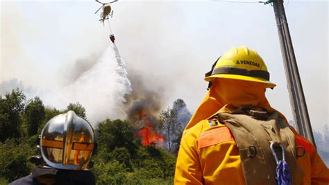 Onemi Reporta 17 Incendios Forestales A Nivel Nacional Cinco Activos