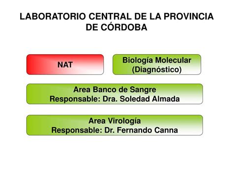 PPT Experiencia de la Implementación de NAT en Banco de Sangre del