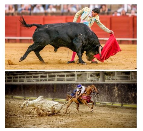 Ley Que Proh Be Las Corridas De Toros En Colombia Podr A Llevarse Por