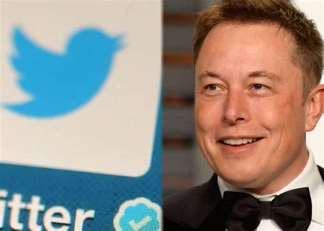 Elon Musk Plans To Fire 1000 Twitter Employees After Owning It Leaders