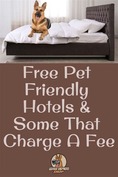 Free pet friendly hotels some that charge a fee – Artofit