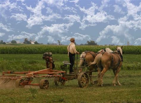 Lancaster County: Amish Farmlands, Museum Tour, Farm Visit | GetYourGuide