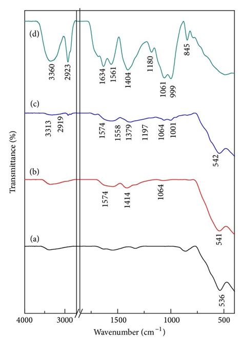 FTIR Spectra Of MNPs A CS MNP B Nyst CS MNP C And Free Nyst D