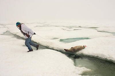 Inupiaq Art Prints - Fine Art America