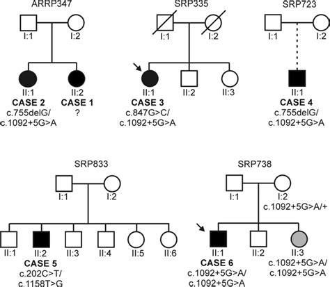 Pedigrees Of Patients With Mutations In The Flvcr Gene With The