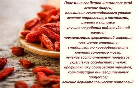 Барбарис и кизил отличие