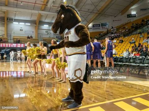 Broncos Mascot Photos and Premium High Res Pictures - Getty Images