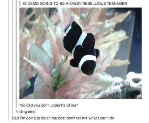 Finding Emo Disney Funny Funny Pictures Disney Memes