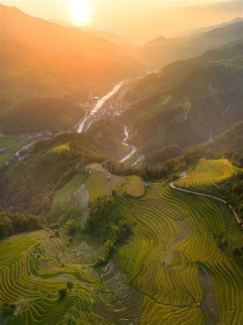 Aerial View Of Golden Rice Terraces At Mu Cang Chai Town Near Sapa City