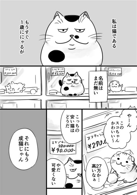 【twitterで話題！猫漫画】短編漫画に込められた感動ストーリー「おじさまと猫」に共感と感動の声が相次ぐ！｜猫の総合情報サイト ペット