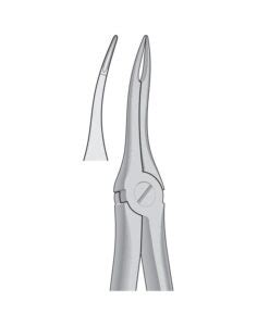 Dental Tooth Extracting Forceps Fig Upper Roots English Pattern