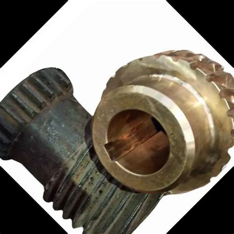 Polished 130mm Worm Gear Shaft Set at Rs 4500 in Faridabad | ID