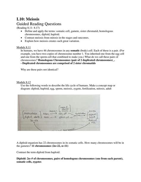 Solution Lesson Grqs Meiosis Studypool