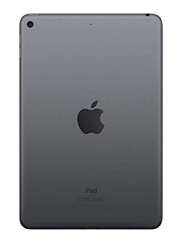 Apple Ipad Mini Wi Fi Gb Space Gray Latest Model Product Details