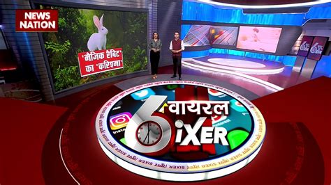 Super Sixer खरगोश की रफ्तार के आगे बाज हुआ पस्त Video Dailymotion