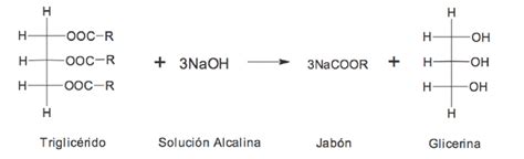 Mecanismo De Saponificación