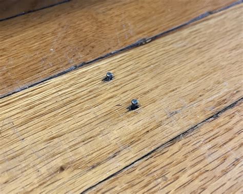 How do I fix popped nails in hardwood floors? - Home Improvement Stack