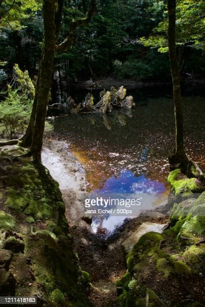 Takaka New Zealand Photos and Premium High Res Pictures - Getty Images