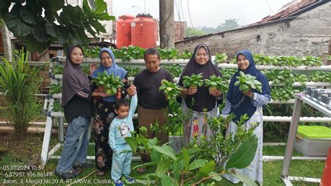 Panen P L Dan Pemberian Bahan Pangan Segar Kepada Krs Keluarga Risiko